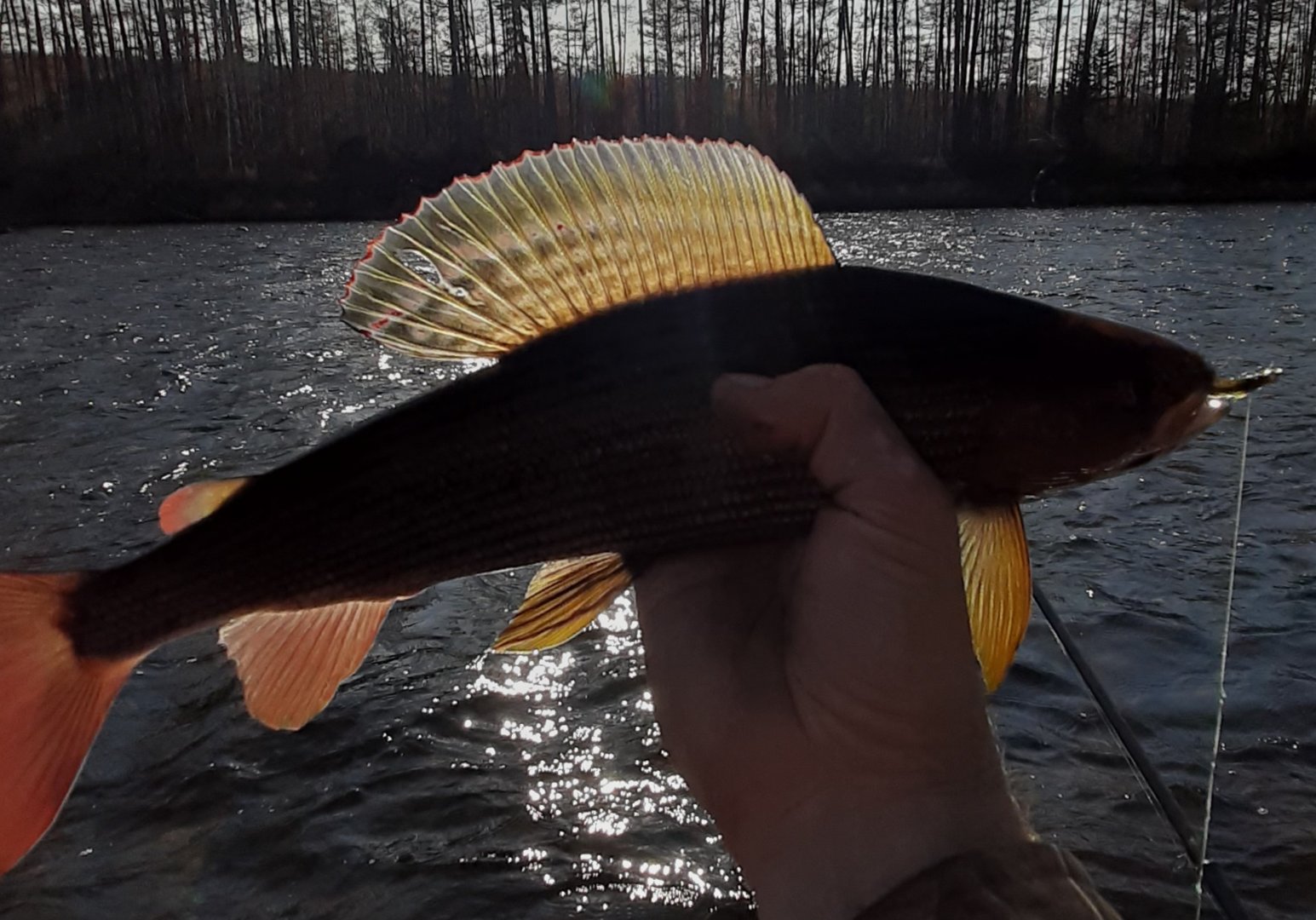 20201009_211328.jpg