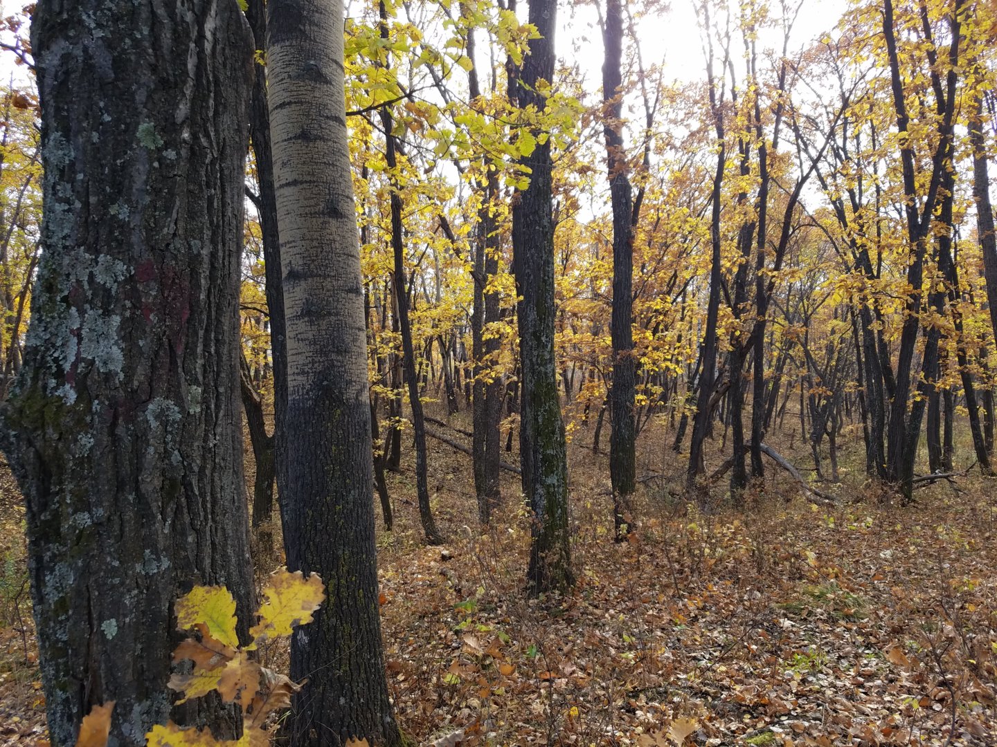 20201010_151751.jpg