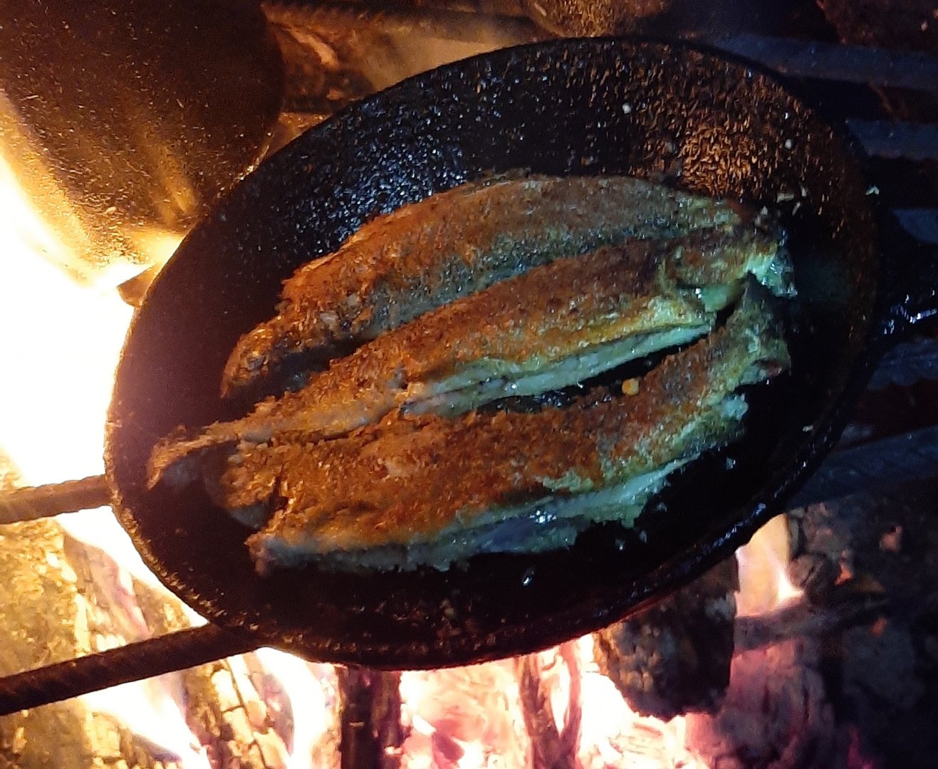 20201019_145045.jpg