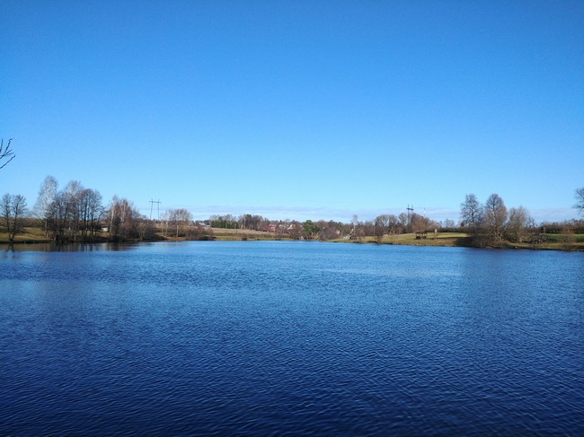 20201106_133654.jpg