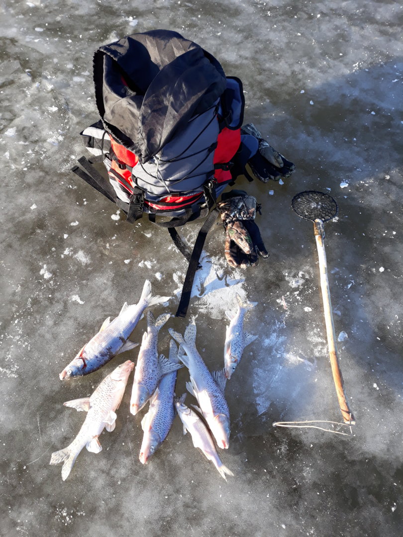 20201127_150924.jpg