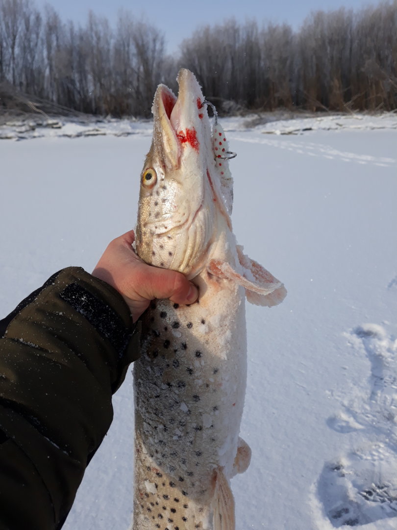 20201130_105154.jpg