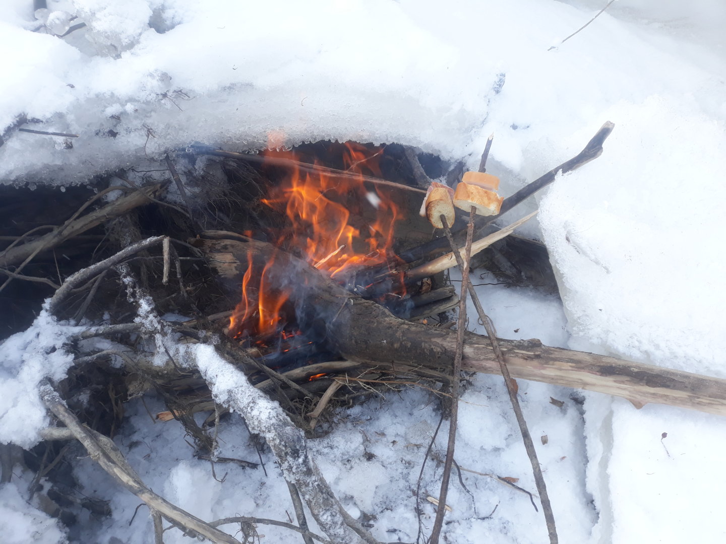 20201130_122845.jpg