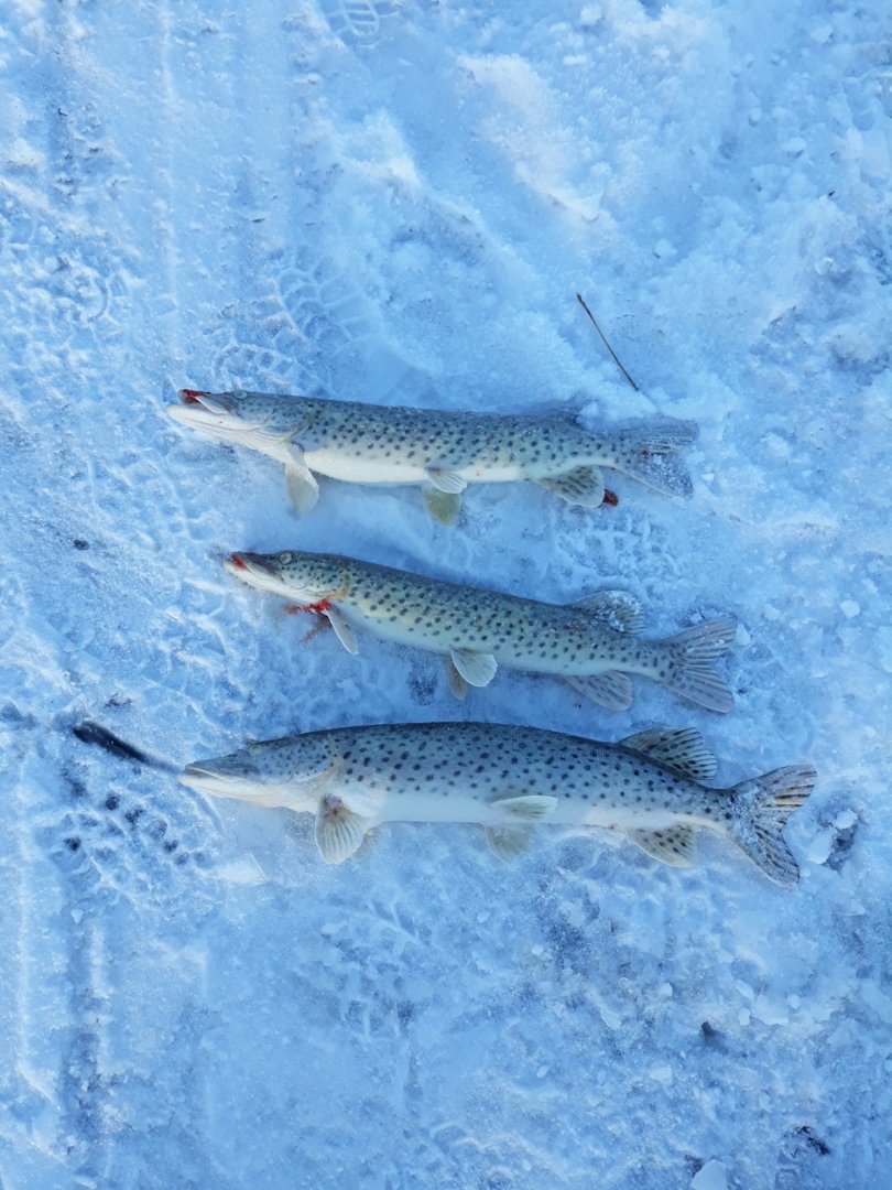 20201204_152104.jpg