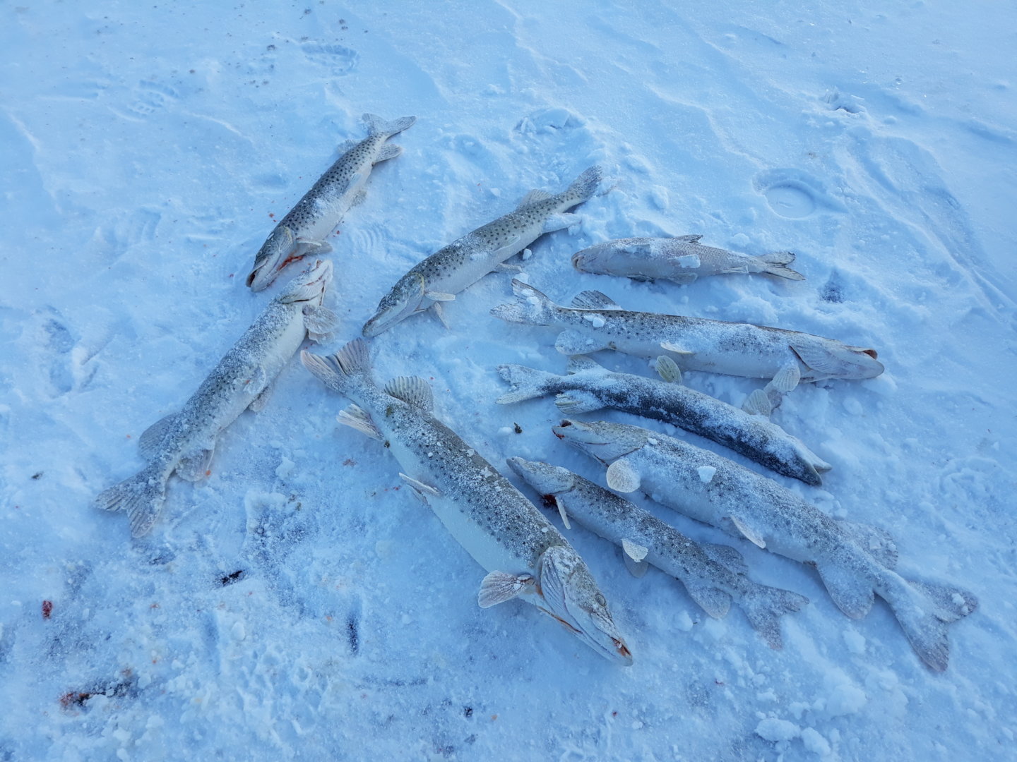 20201205_154028.jpg