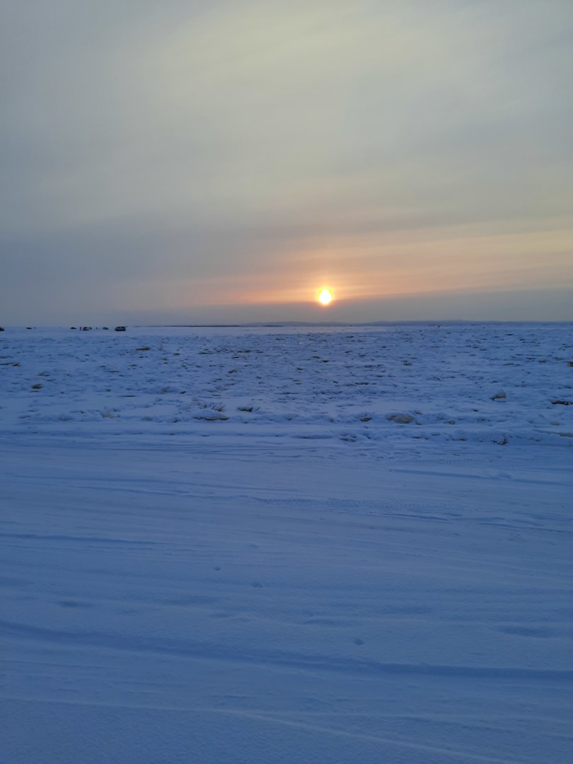 20201213_090906.jpg