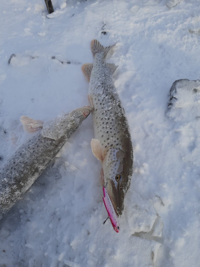 20201213_103828.jpg
