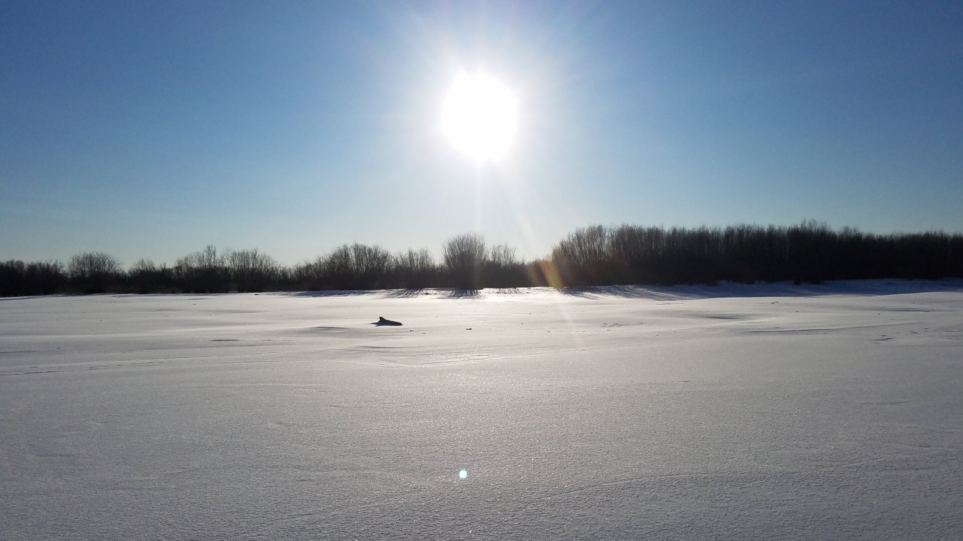 20201225_145825.jpg