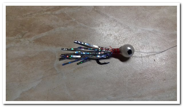 20201230_171554.jpg