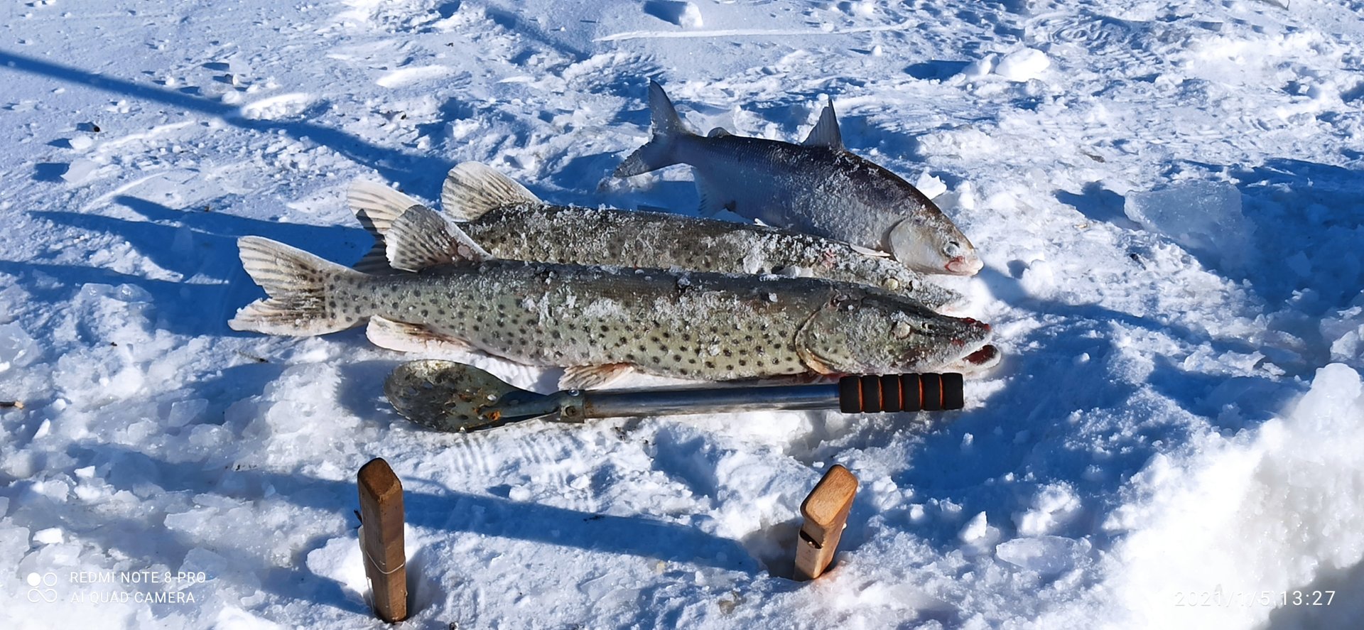 2021-01-05 13-27-16.JPG