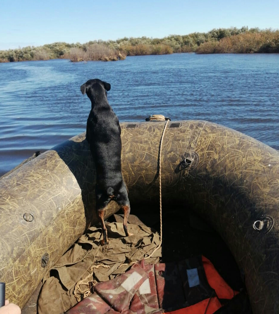 2021-09-19 20.09.09.jpg