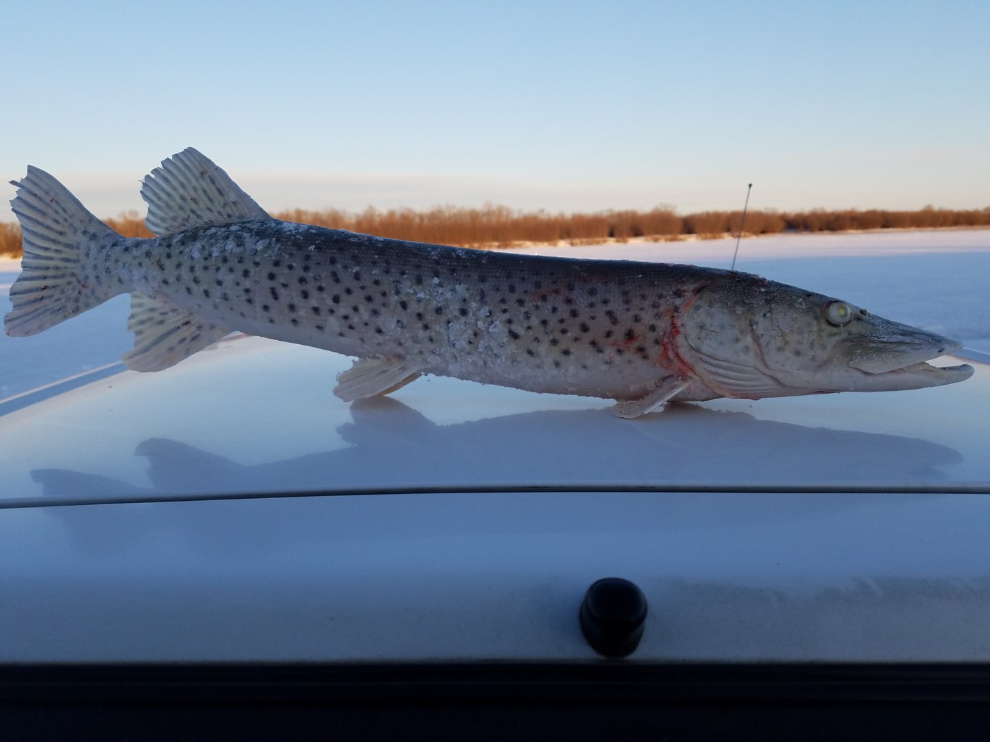 20210119_170446.jpg