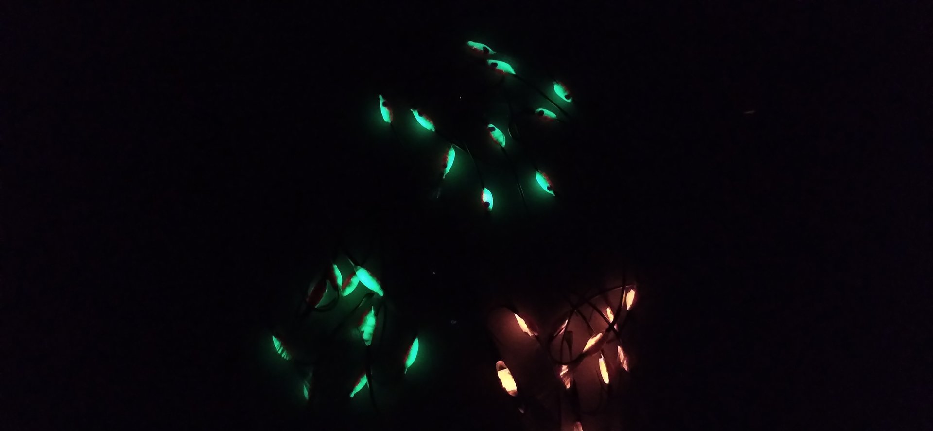 20210121_005951.jpg 20210121_005951.jpg