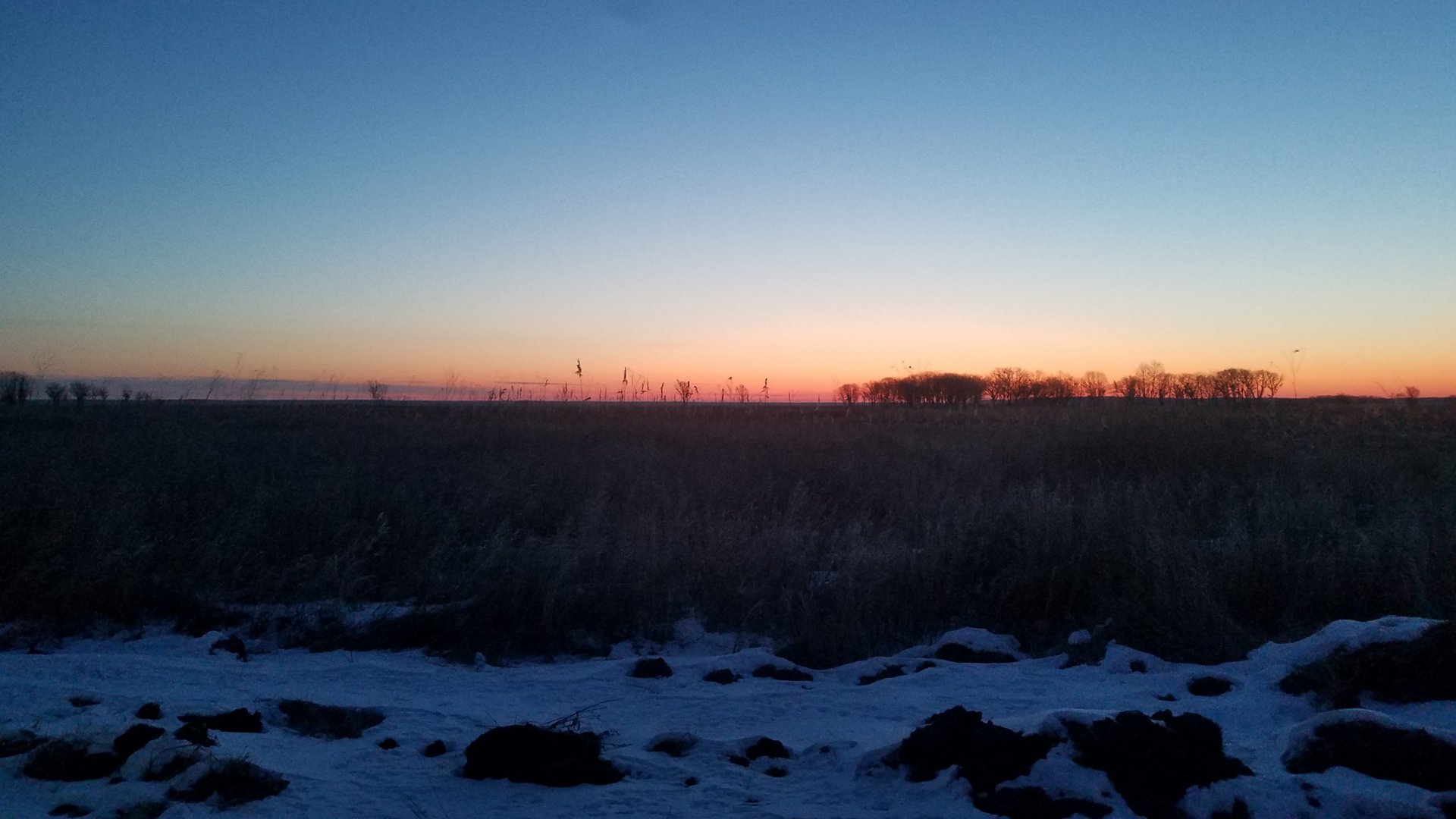 20210210_074624.jpg