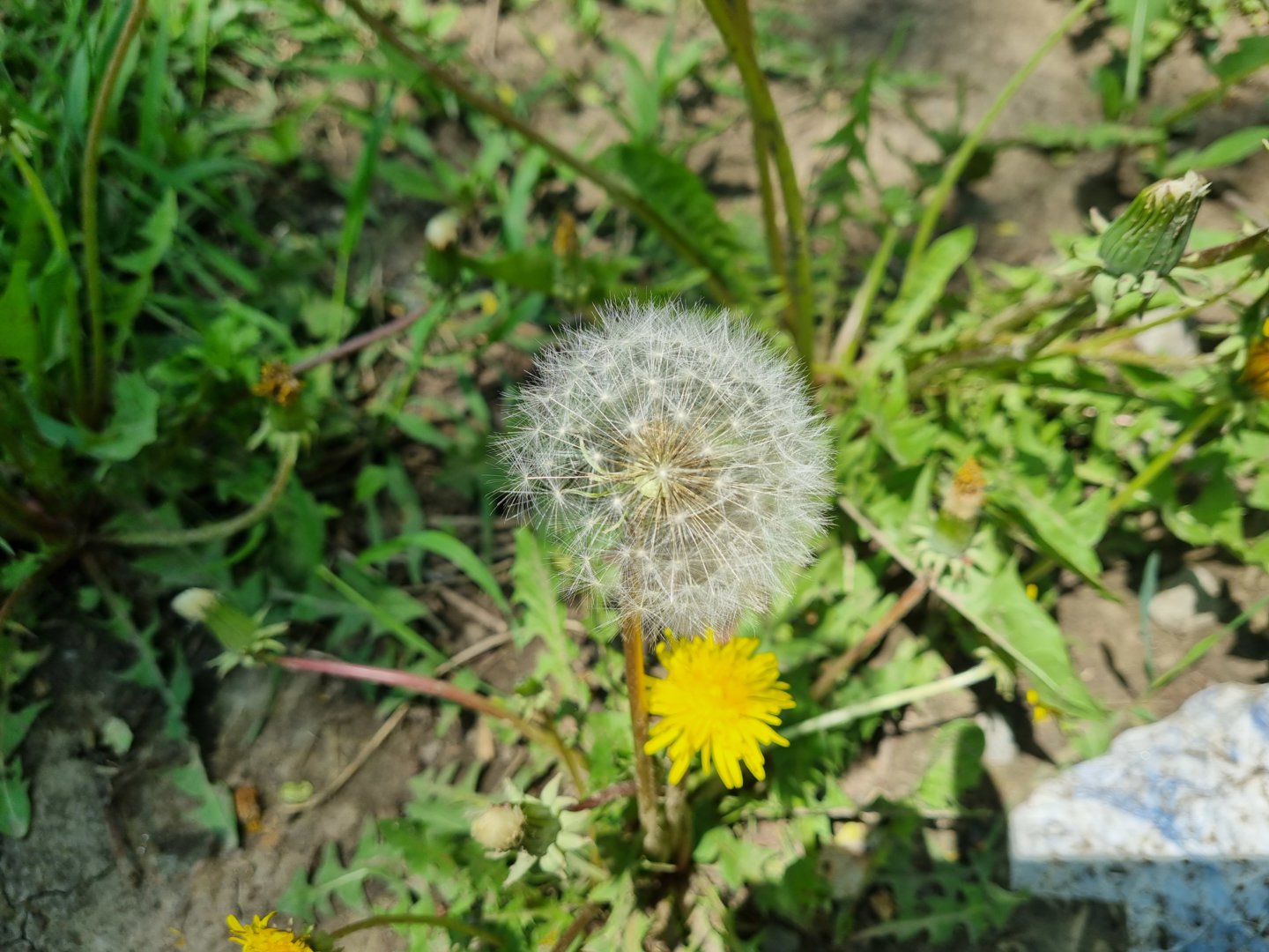 20210522_134319.jpg