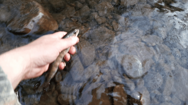 20210528_075559_1.gif