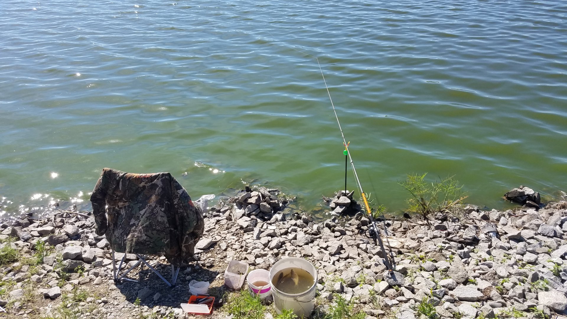 20210615_094407.jpg