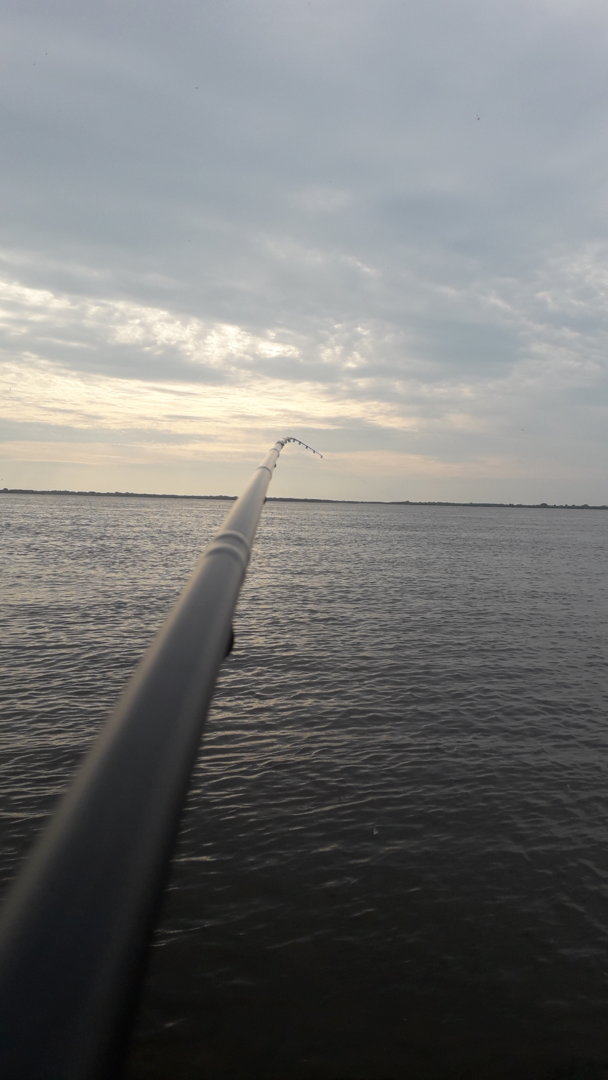20210619_182715.jpg