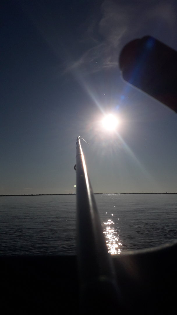 20210621_190916.jpg
