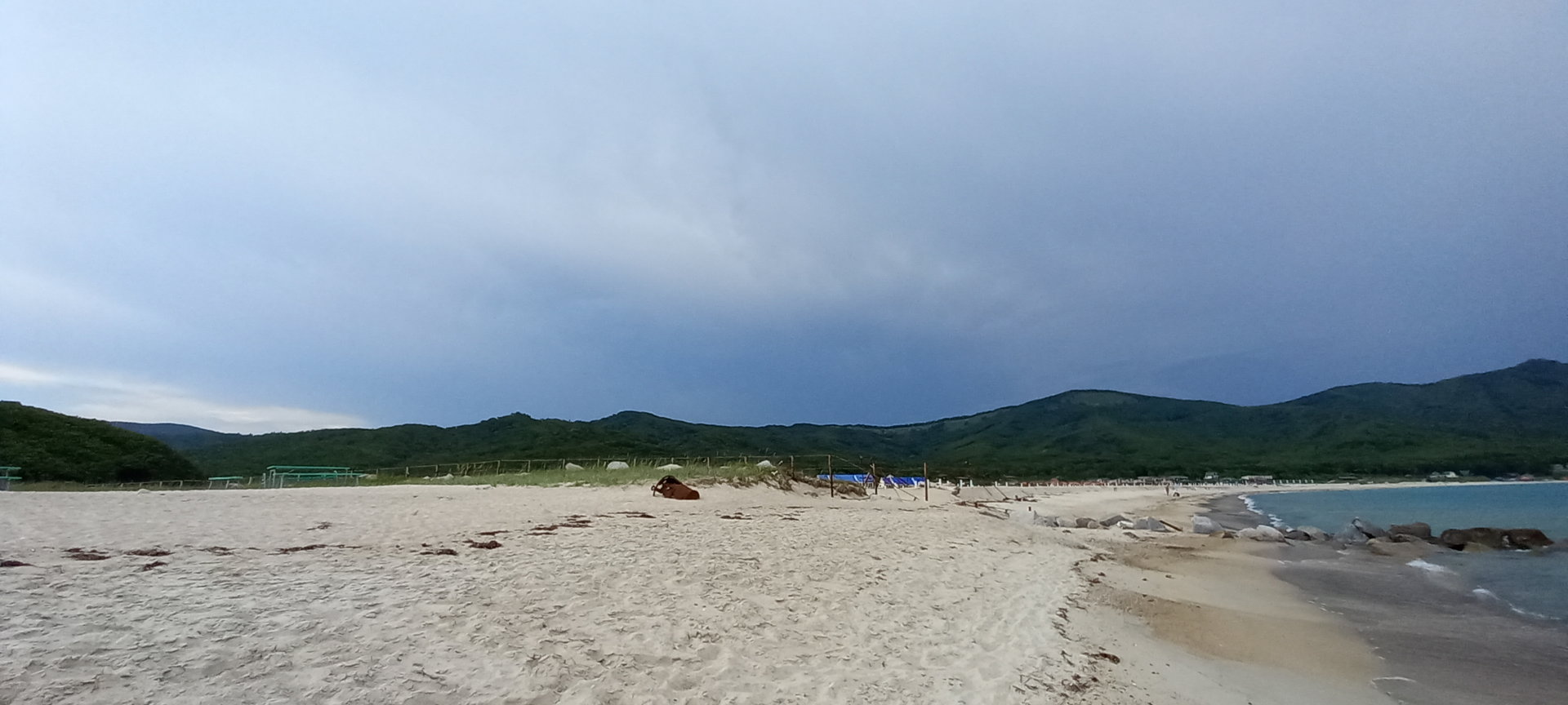 20210624_171932.jpg