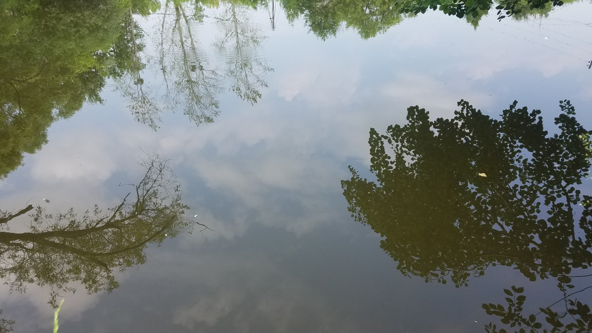 20210627_120419.jpg