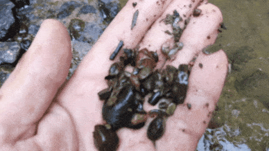 20210627_162757.gif