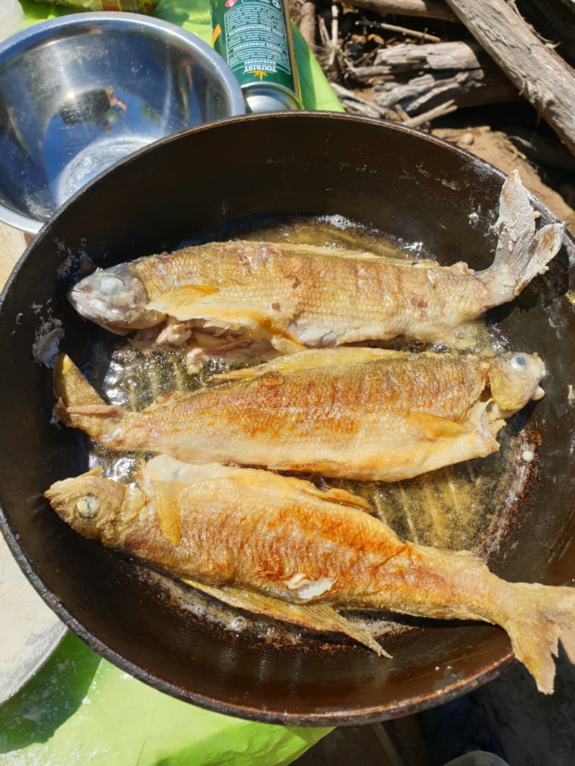 20210702_134733.jpg