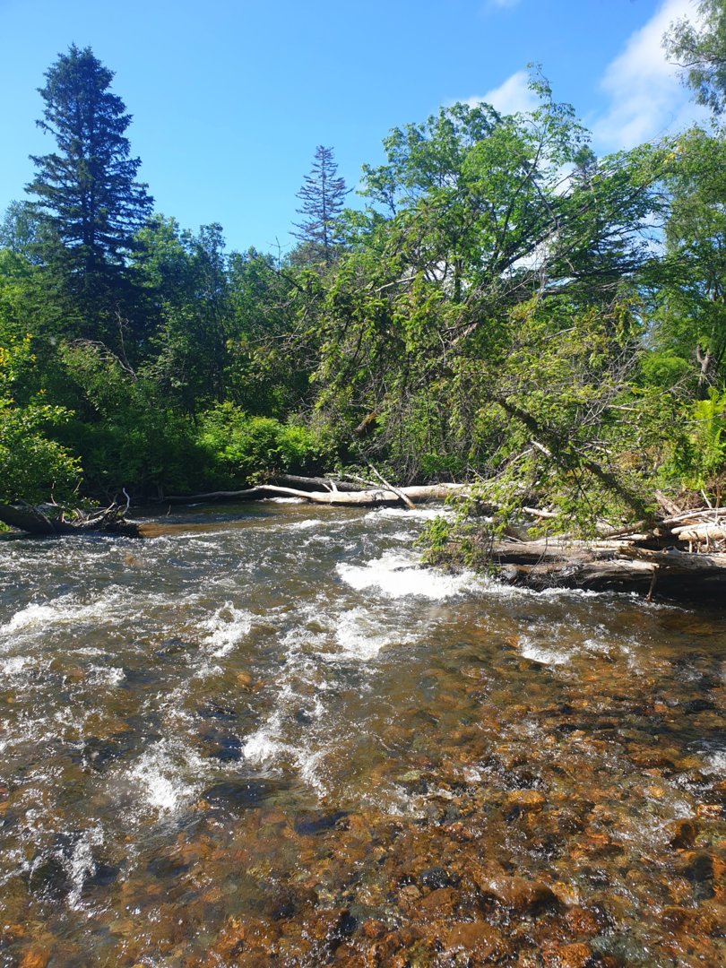 20210703_072408.jpg