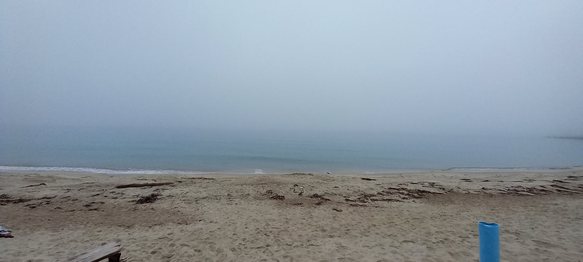 20210714_084245.jpg