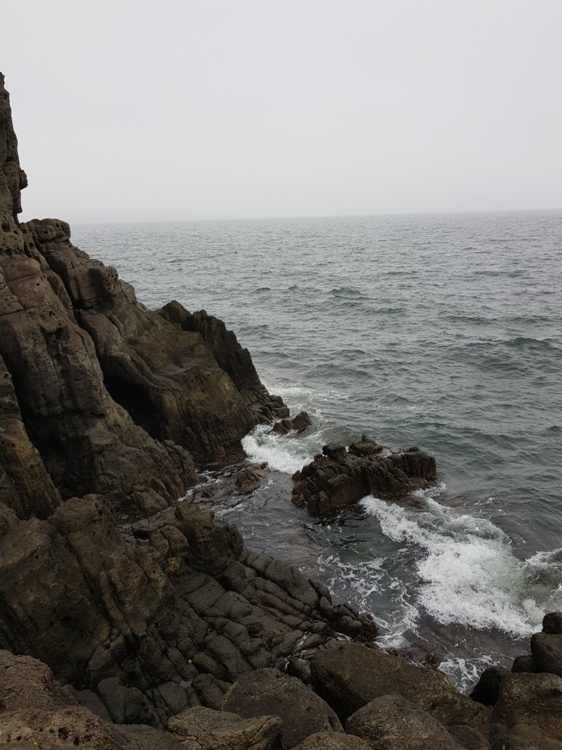20210714_134404.jpg