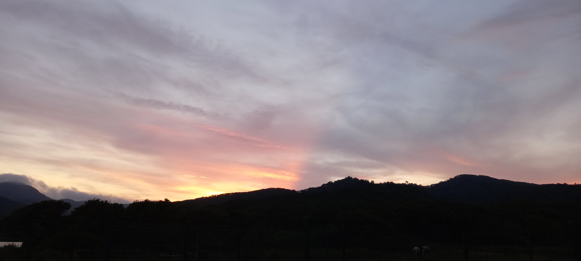 20210722_204606.jpg