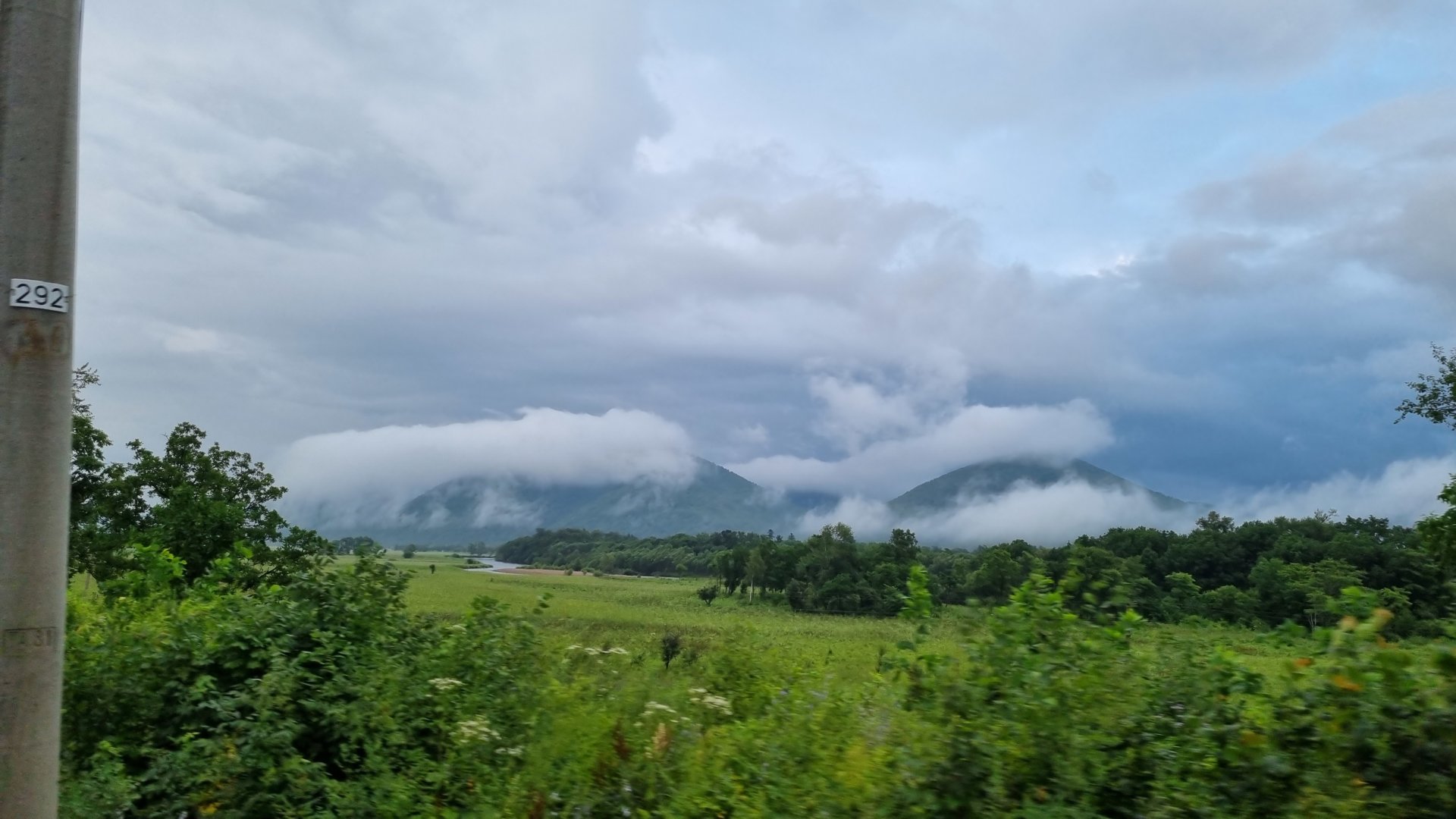 20210803_064931.jpg