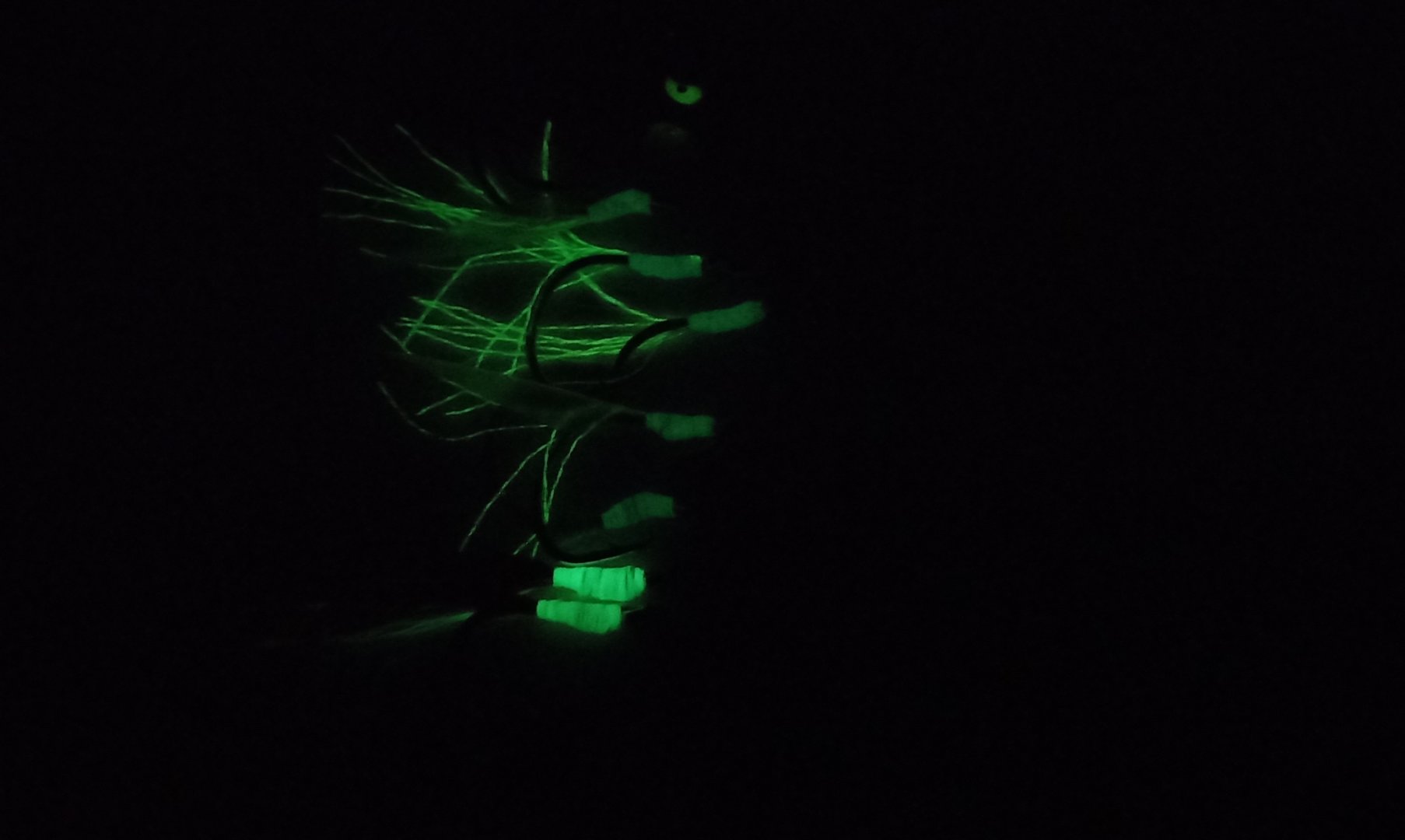 20210814_170901.jpg