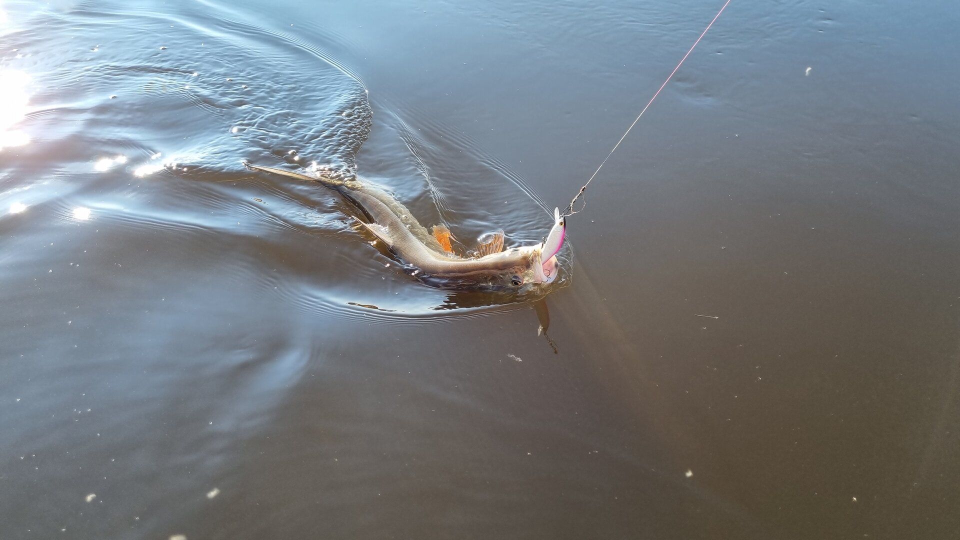 20210905_084928.jpg
