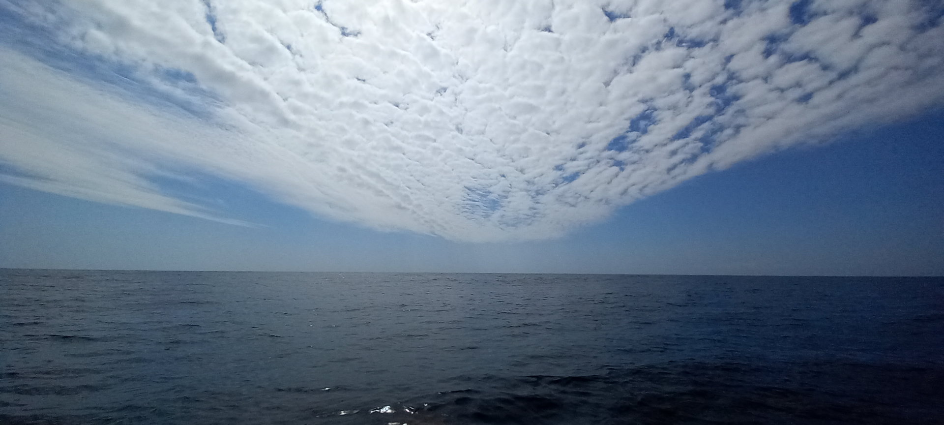 20210909_115555.jpg