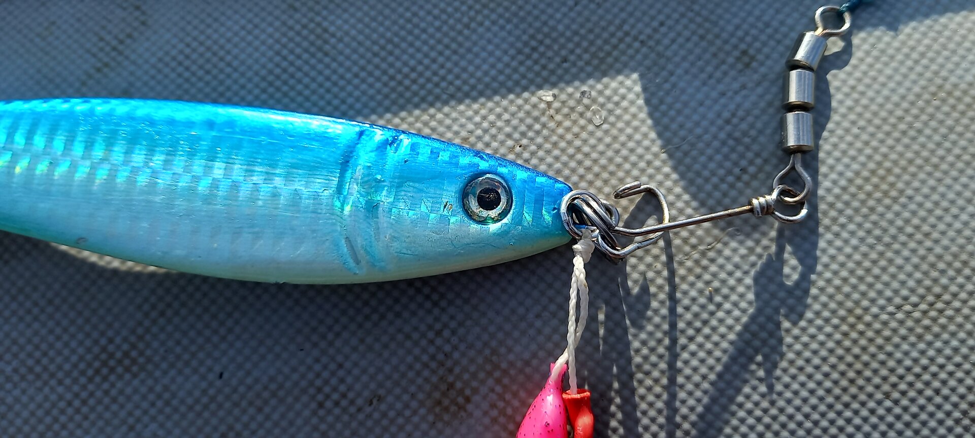 20210925_085855.jpg
