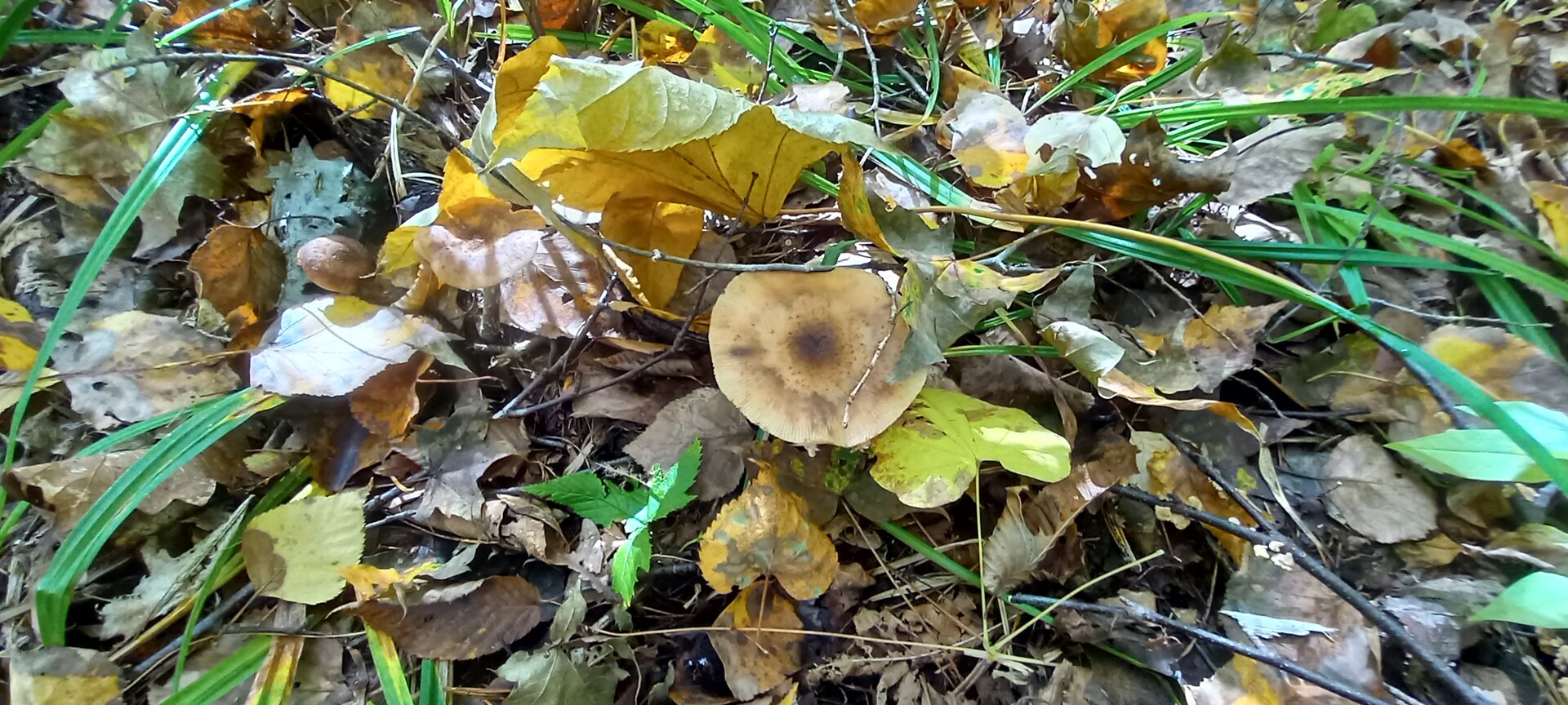 20210929_101923.jpg