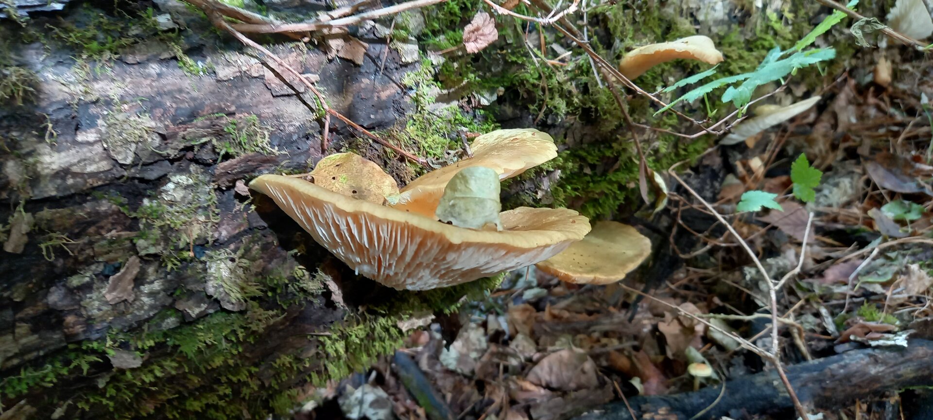 20210929_103038.jpg