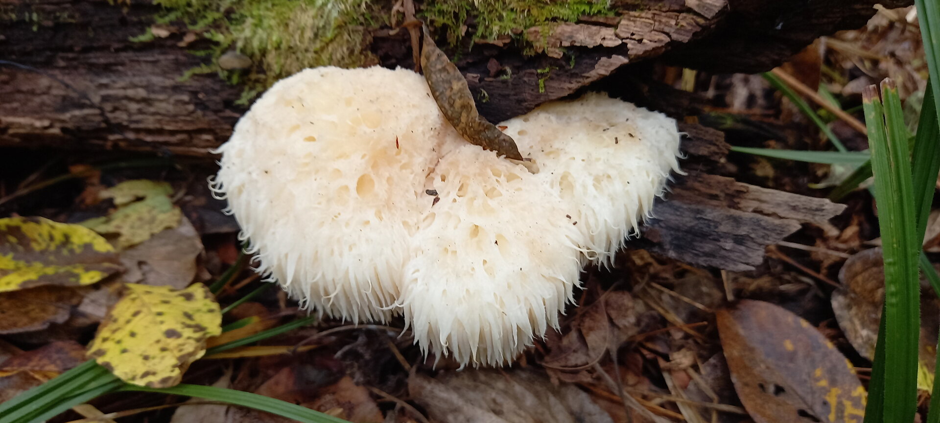 20210929_103548.jpg