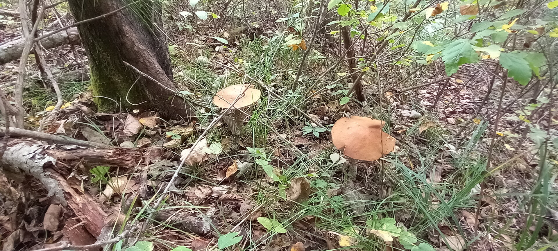 20210929_104942.jpg