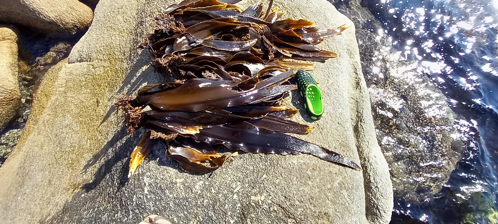 20211002_112651.jpg