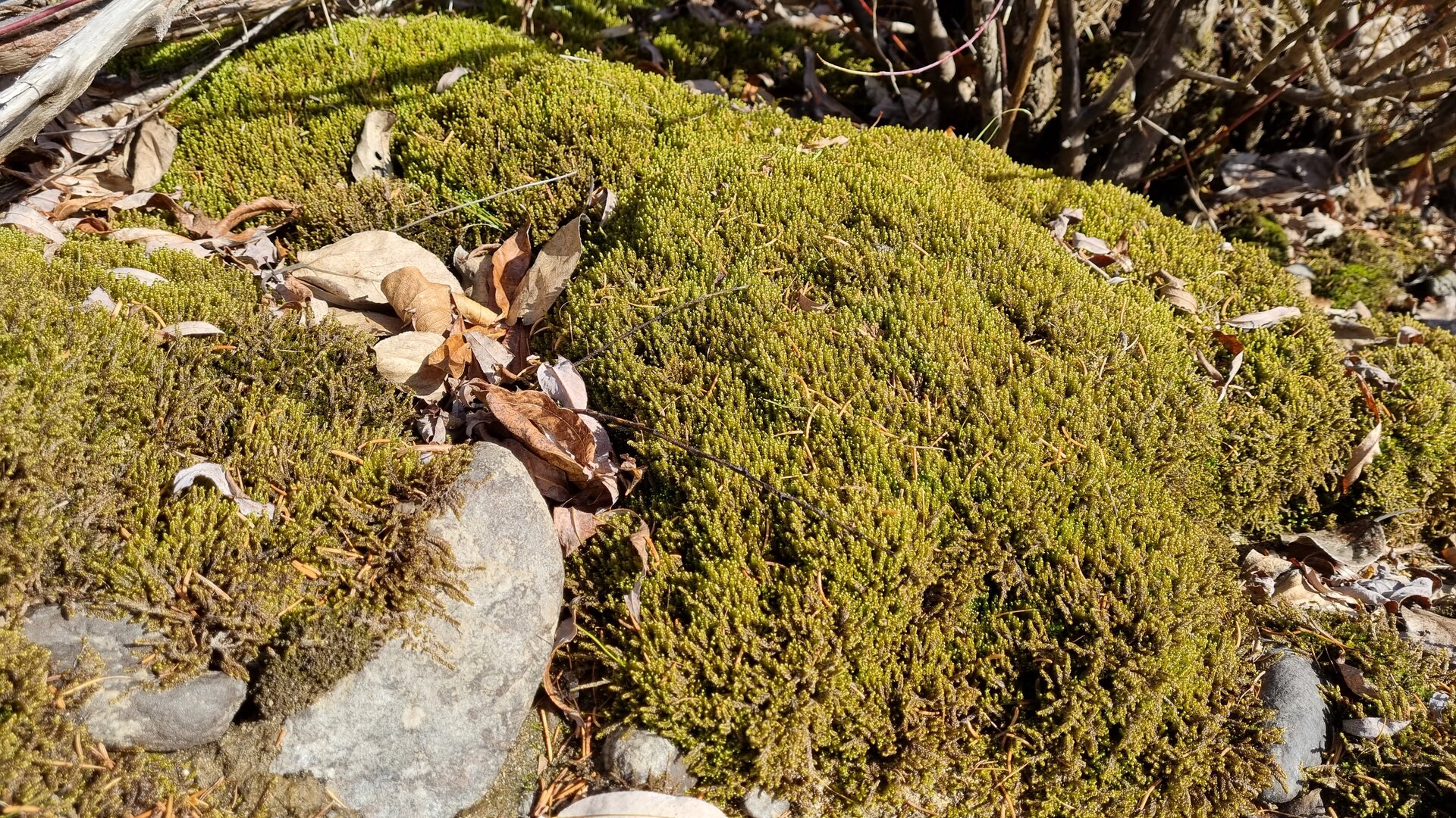 20211006_151415.jpg