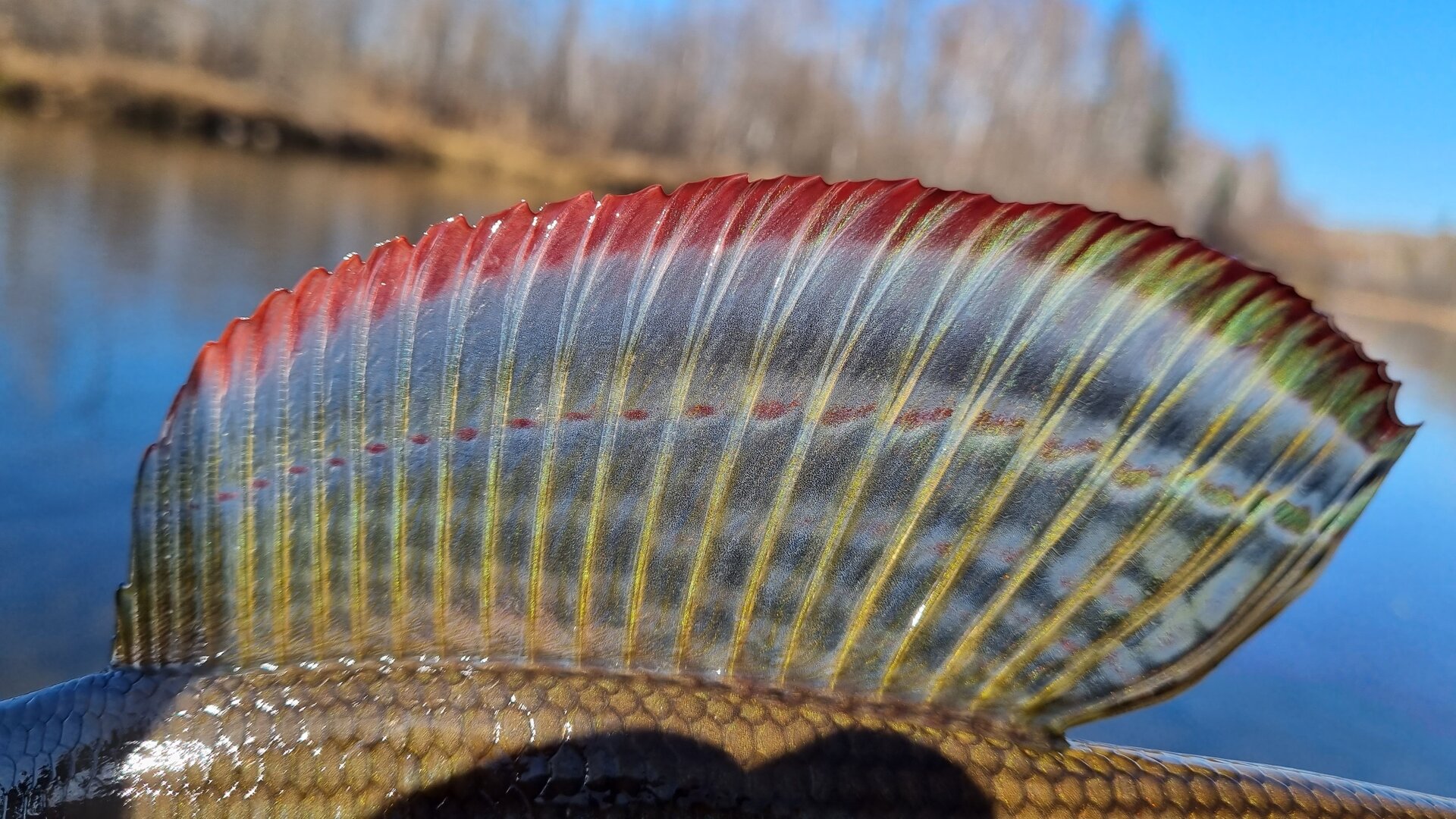 20211007_124032.jpg