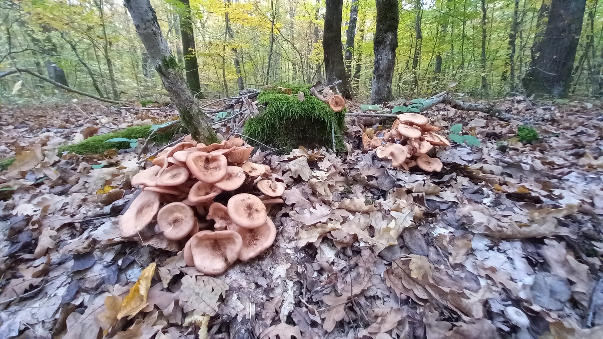 20211015_170318.jpg