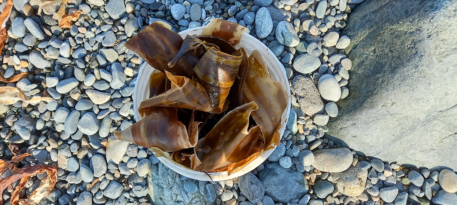 20211031_105953.jpg