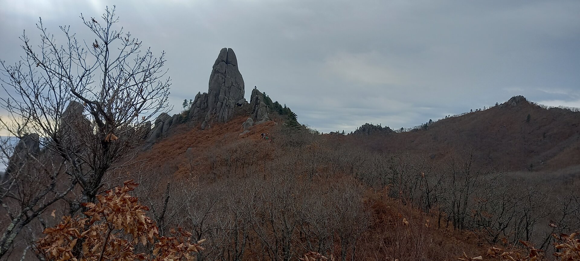 20211106_121445.jpg