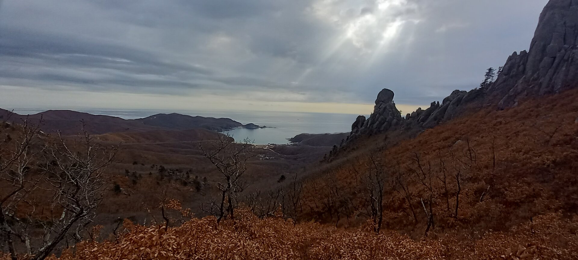 20211106_121908.jpg