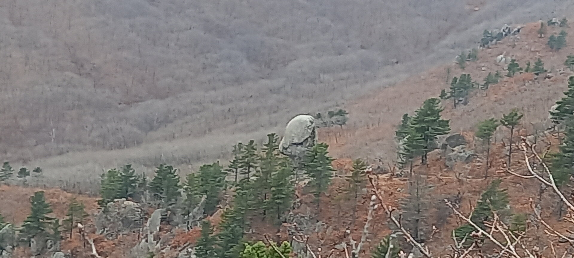 20211106_145314.jpg