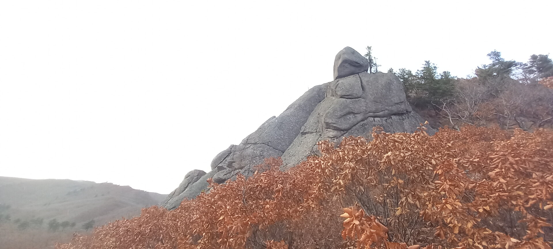 20211106_153205.jpg