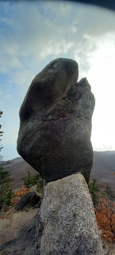 20211106_153939.jpg